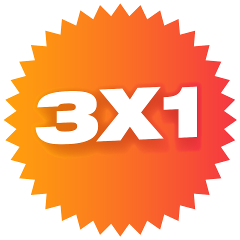 3X1