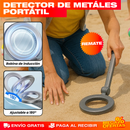 DETECTOR DE METÁLES PORTÁTIL