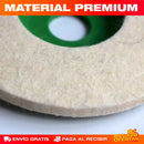 SET DE 10 DISCOS PULIDORES DE LANA