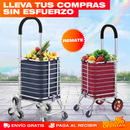 CARRO DE MERCADO DESMONTABLE